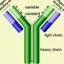 Recombinant human Fibroblast growth factor 21 protein