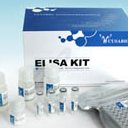   Human Myosin-IIIa(MYO3A) ELISA kit / Human Myosin-IIIa(MYO3A) ELISA kit