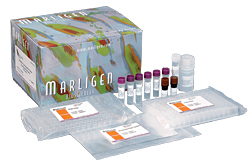 Whole Cell Extraction Reagent