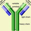 Recombinant Streptolysin O protein