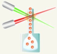 Procarta SH2 Domain Plex