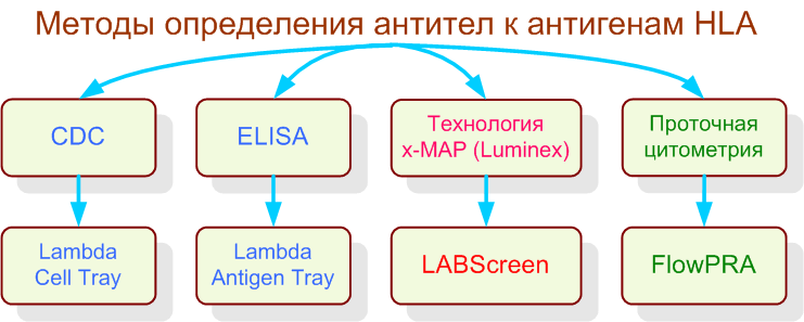 Болезнь Бехтерева (анкилозирующий спондилоартрит)