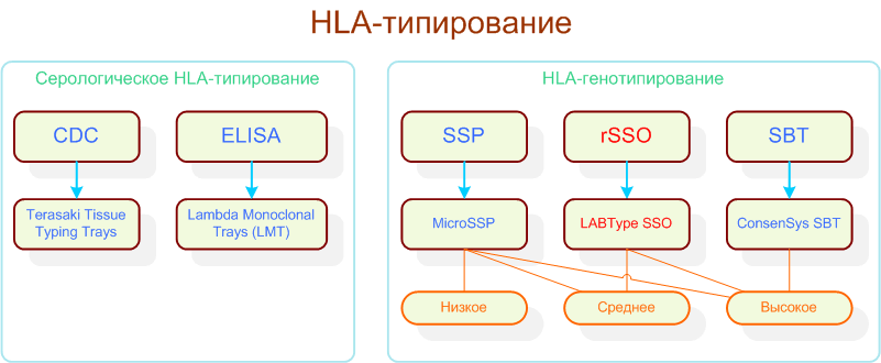 HLA-