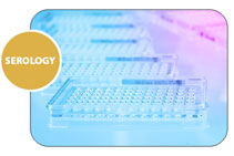 Lambda Monoclonal Trays